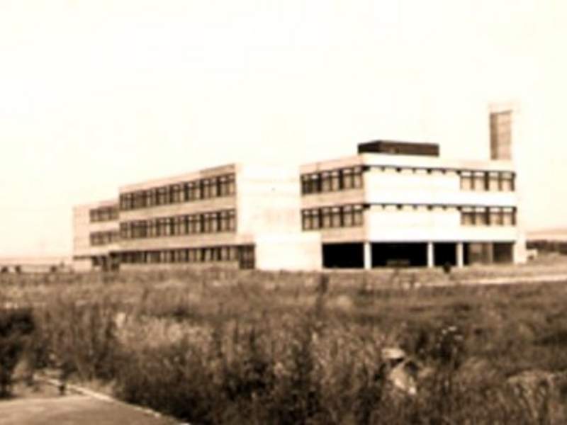 ALT